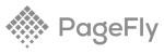 teckjoint web development and design services with shopify and pagebuilder pagefly